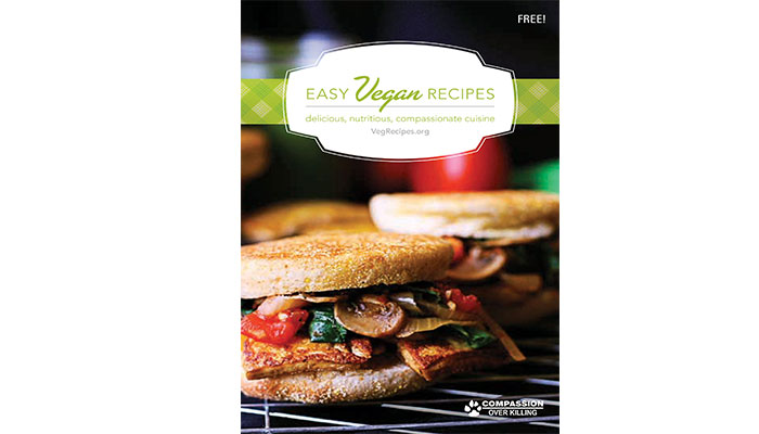 vegan recipes