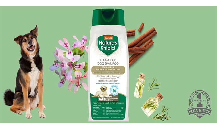 Dog Shampoo