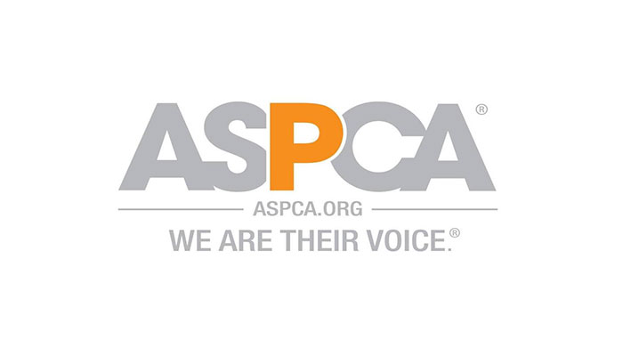 free pet safety pack