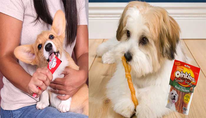 dog treat samples
