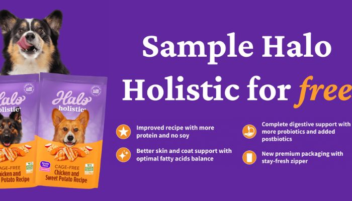 halo holistic dog food